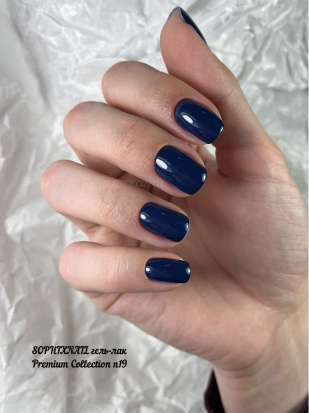 Premium Collection 19 2