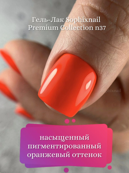 Premium Collection 37 5