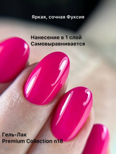 Premium Collection 18 1