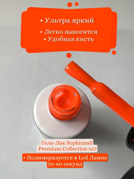 Premium Collection 37 2