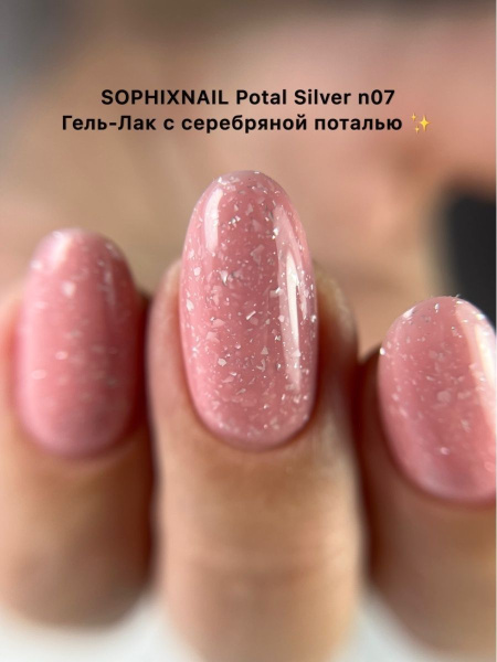 Potal Silver 07-4