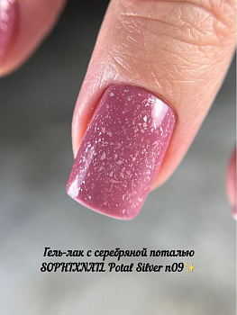 Sophixnail Potal Silver 09