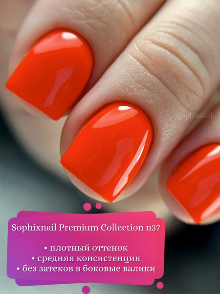 Premium Collection 37 4