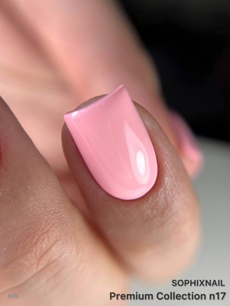 Premium Collection 17 1