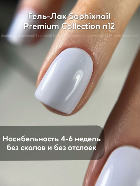 Premium Collection 12 2