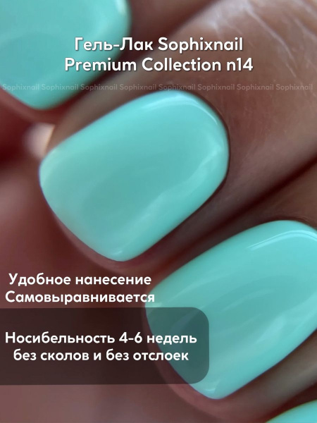 Premium Collection 14 2