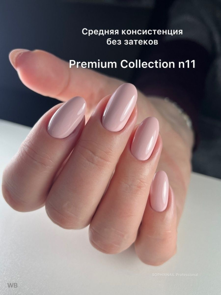 Premium Collection 11 2