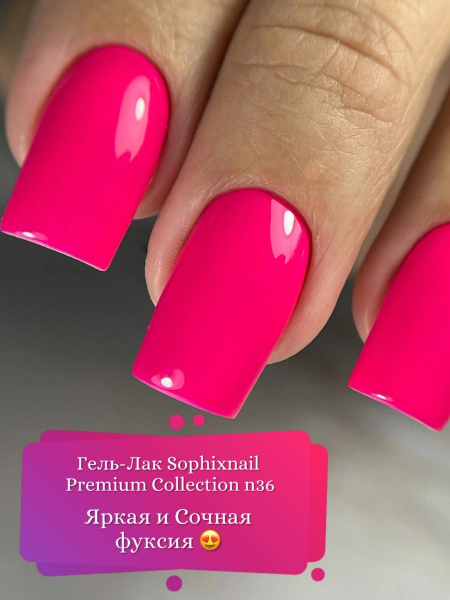 Premium Collection 36 5