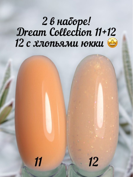Dream Collection 11+12