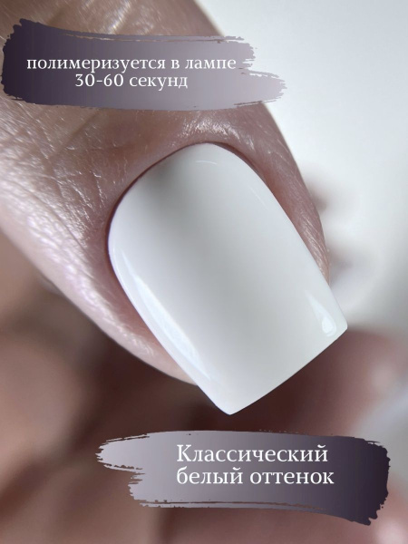 Premium Collection 01 2