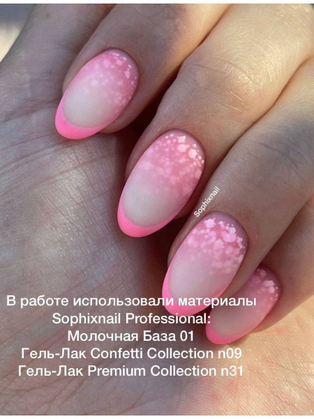 Premium Collection 31 2