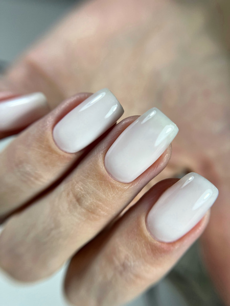 Premium Collection 04-4