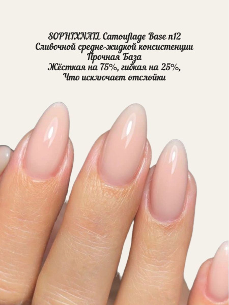 Camouflage Base 12-1