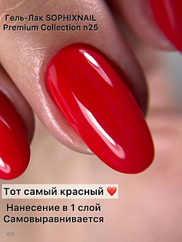 Sophixnail Premium Collection 25