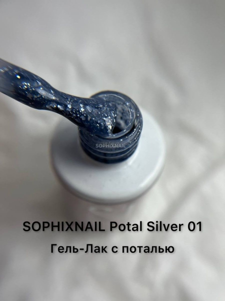 Potal Silver 01-1
