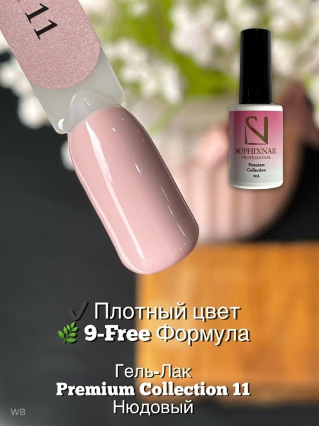 Premium Collection 11 3