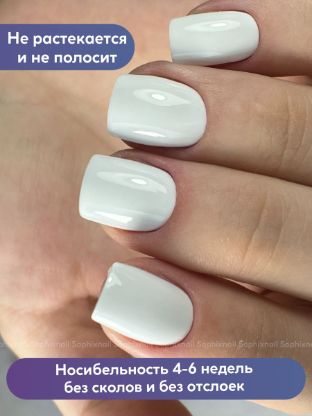 Premium Collection 03 2