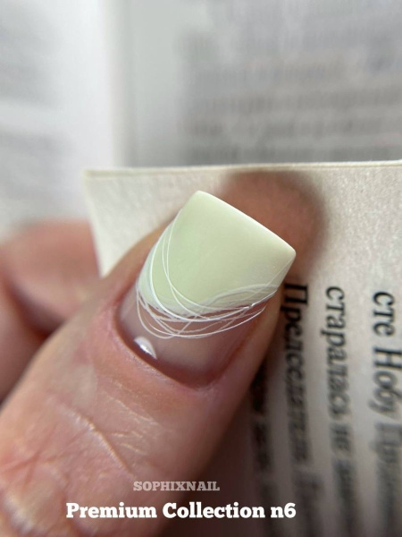 Premium Collection 06 1