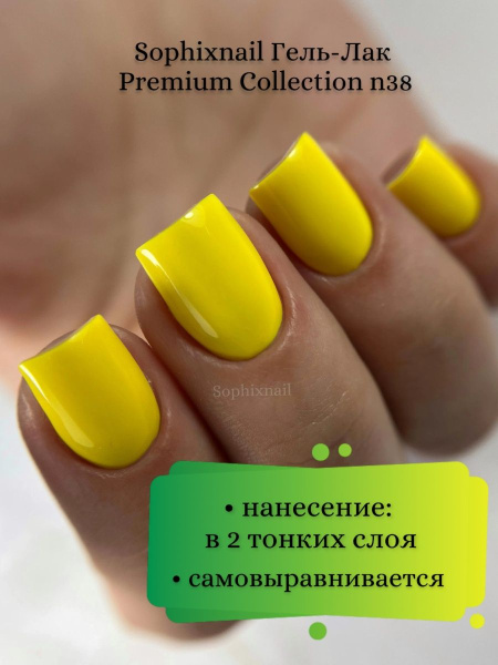 Premium Collection 38 2