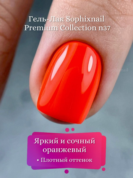 Premium Collection 37 3